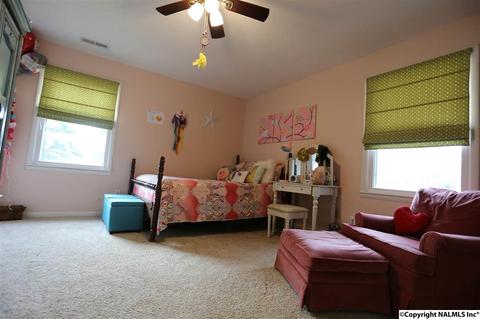 37 County Road 367, Trinity, AL 35673 photo 27