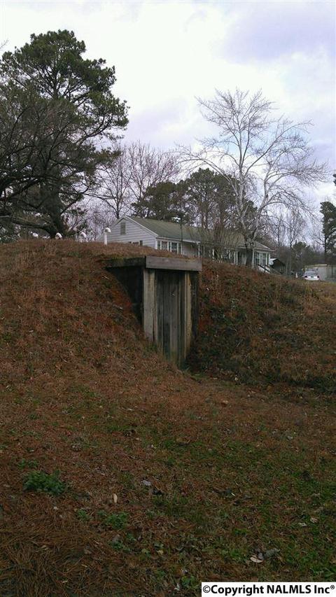 29708 Easter Ferry Rd, Lester, AL 35647 photo 2