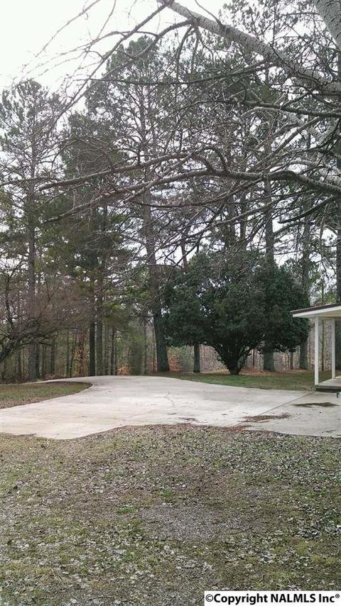 29708 Easter Ferry Rd, Lester, AL 35647 photo 4