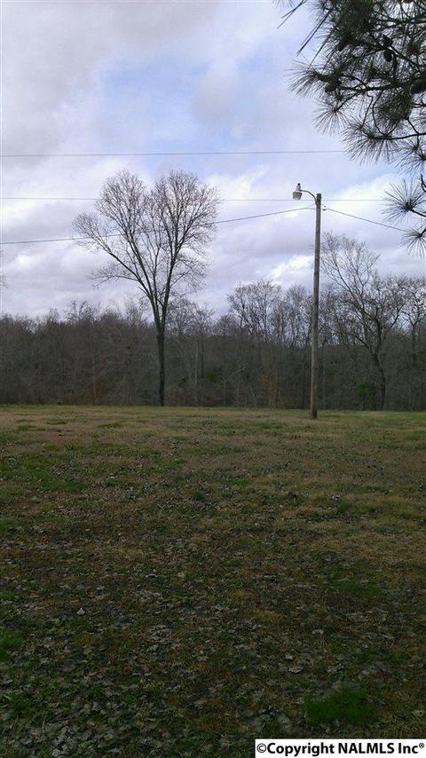 29708 Easter Ferry Rd, Lester, AL 35647 photo 5