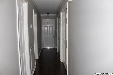 32 Mountain Brook Dr, Trinity, AL 35673 photo 38