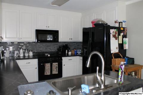 32 Mountain Brook Dr, Trinity, AL 35673 photo 20