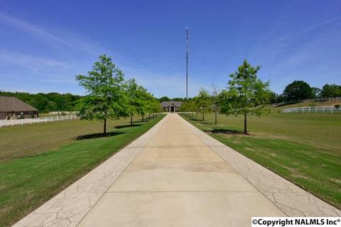 71 S Seneca Dr, Trinity, AL 35673 photo 5