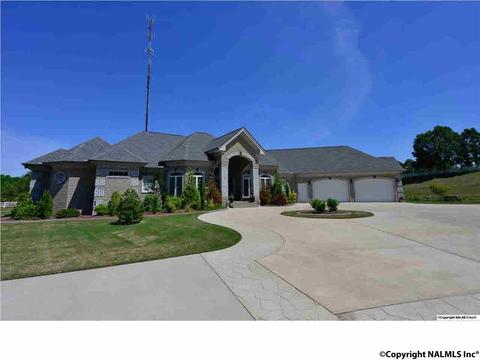 71 S Seneca Dr, Trinity, AL 35673 photo 2