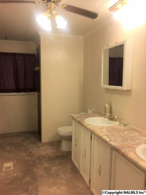 6565 County Road 222, Trinity, AL 35673 photo 14