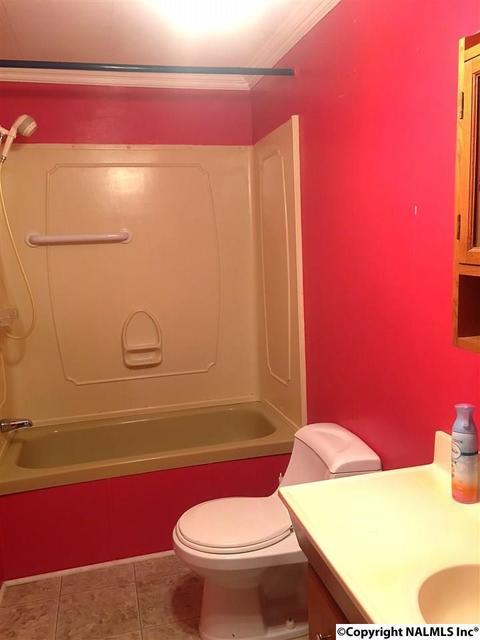 6565 County Road 222, Trinity, AL 35673 photo 11