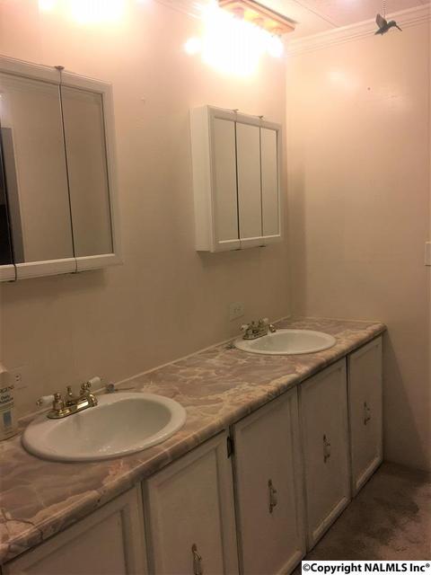 6565 County Road 222, Trinity, AL 35673 photo 15