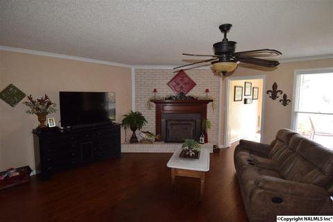 675 Starnes Loop Rd, Grant, AL 35747 photo 10