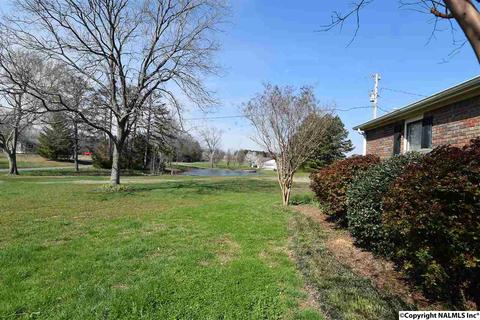 675 Starnes Loop Rd, Grant, AL 35747 photo 27