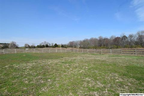 675 Starnes Loop Rd, Grant, AL 35747 photo 23