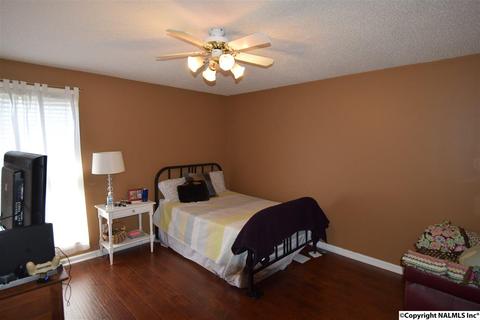 675 Starnes Loop Rd, Grant, AL 35747 photo 17
