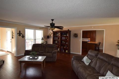 675 Starnes Loop Rd, Grant, AL 35747 photo 11