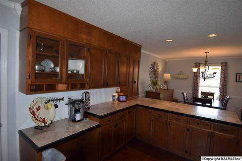 675 Starnes Loop Rd, Grant, AL 35747 photo 6