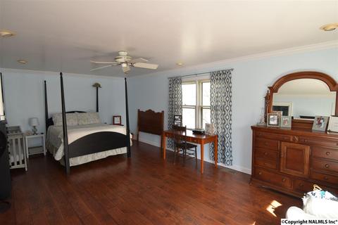 675 Starnes Loop Rd, Grant, AL 35747 photo 13