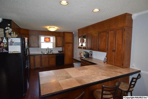 675 Starnes Loop Rd, Grant, AL 35747 photo 7