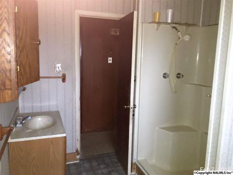 10131 County Road 214, Trinity, AL 35673 photo 4