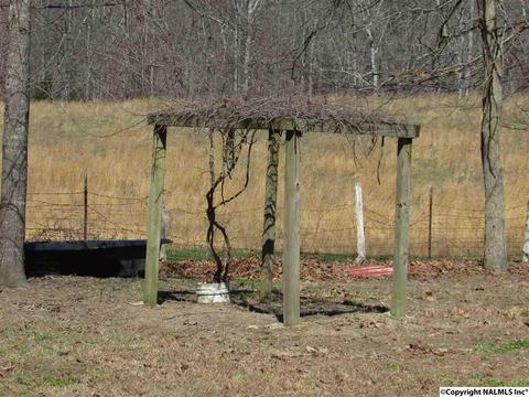 121 Cobbs Rd, Eva, AL 35621 photo 41