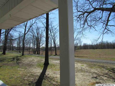 121 Cobbs Rd, Eva, AL 35621 photo 6