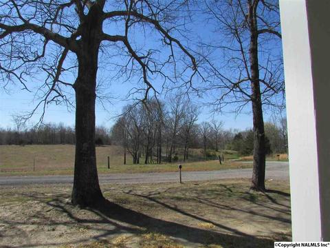 121 Cobbs Rd, Eva, AL 35621 photo 8