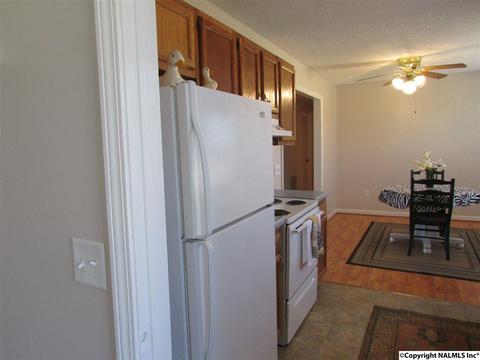 121 Cobbs Rd, Eva, AL 35621 photo 14