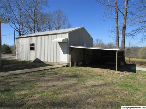 121 Cobbs Rd, Eva, AL 35621 photo 38