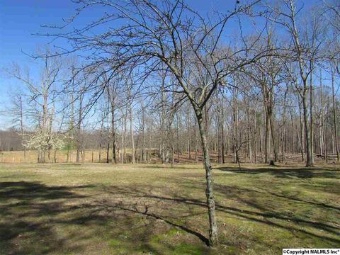 121 Cobbs Rd, Eva, AL 35621 photo 36
