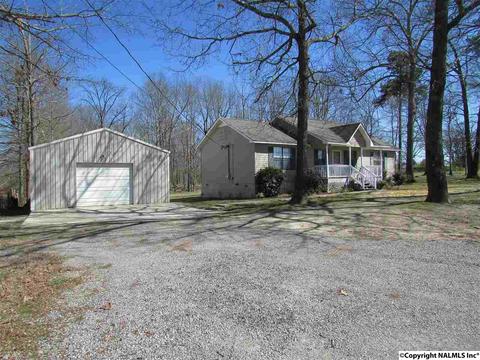 121 Cobbs Rd, Eva, AL 35621 photo 42