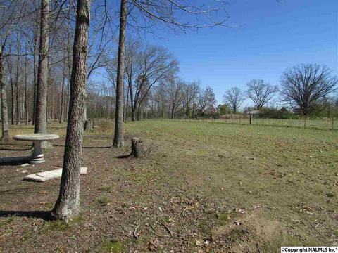 121 Cobbs Rd, Eva, AL 35621 photo 35