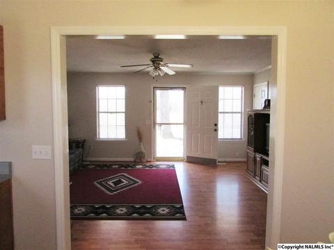 121 Cobbs Rd, Eva, AL 35621 photo 10