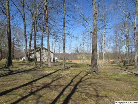 121 Cobbs Rd, Eva, AL 35621 photo 34
