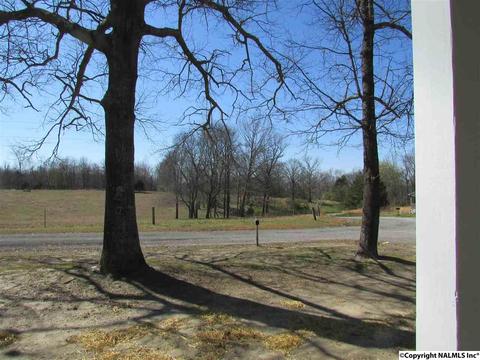 121 Cobbs Rd, Eva, AL 35621 photo 37