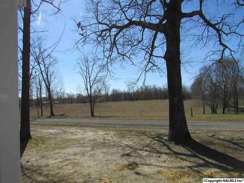 121 Cobbs Rd, Eva, AL 35621 photo 7