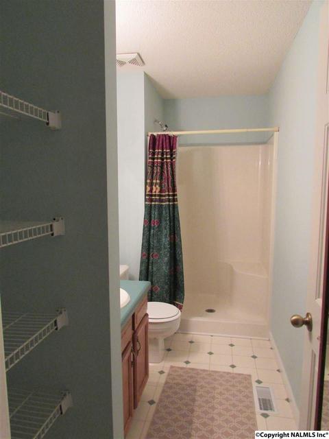 121 Cobbs Rd, Eva, AL 35621 photo 20