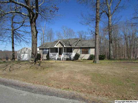 121 Cobbs Rd, Eva, AL 35621 photo 1