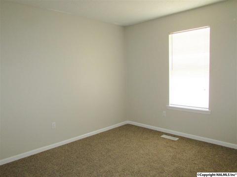121 Cobbs Rd, Eva, AL 35621 photo 28