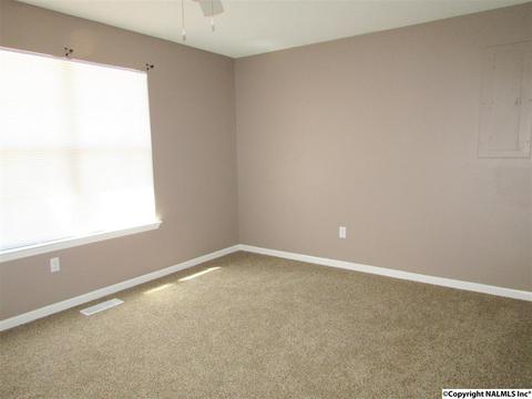 121 Cobbs Rd, Eva, AL 35621 photo 23