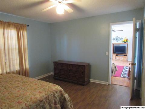 121 Cobbs Rd, Eva, AL 35621 photo 18