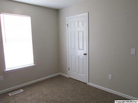 121 Cobbs Rd, Eva, AL 35621 photo 27