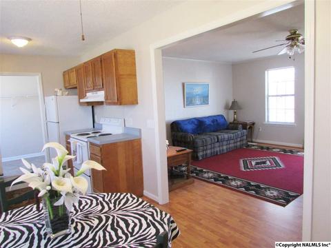 121 Cobbs Rd, Eva, AL 35621 photo 12