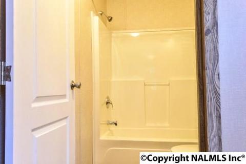 164 County Road 316, Trinity, AL 35673 photo 16