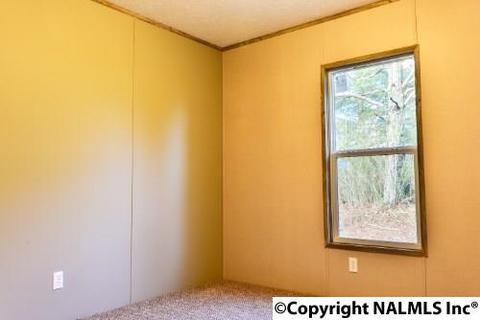 164 County Road 316, Trinity, AL 35673 photo 17