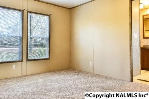 164 County Road 316, Trinity, AL 35673 photo 11