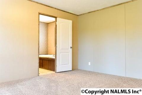 164 County Road 316, Trinity, AL 35673 photo 10