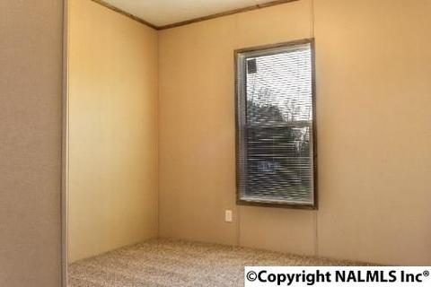 164 County Road 316, Trinity, AL 35673 photo 18