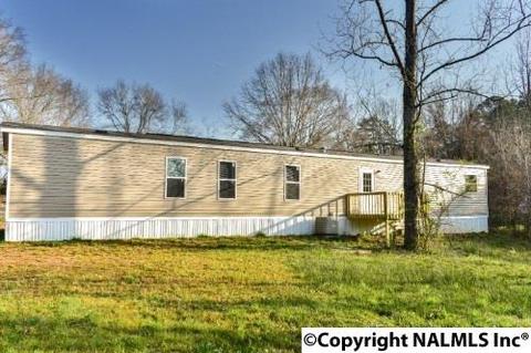 164 County Road 316, Trinity, AL 35673 photo 22