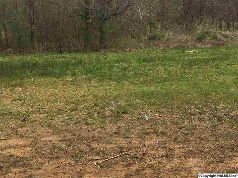 164 County Road 316, Trinity, AL 35673 photo 24