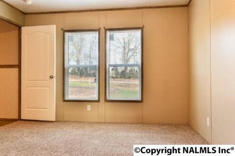 164 County Road 316, Trinity, AL 35673 photo 12