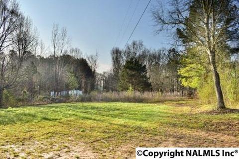 164 County Road 316, Trinity, AL 35673 photo 23
