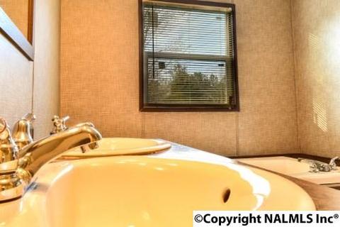 164 County Road 316, Trinity, AL 35673 photo 14