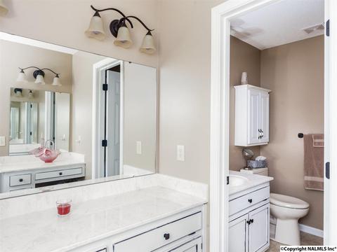 460 County Road 360, Trinity, AL 35673 photo 12